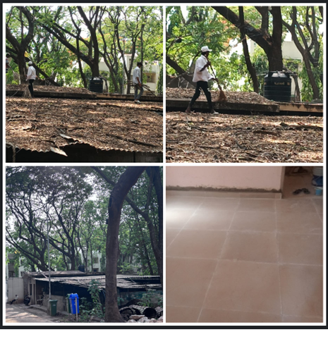 During cleaning and renovation